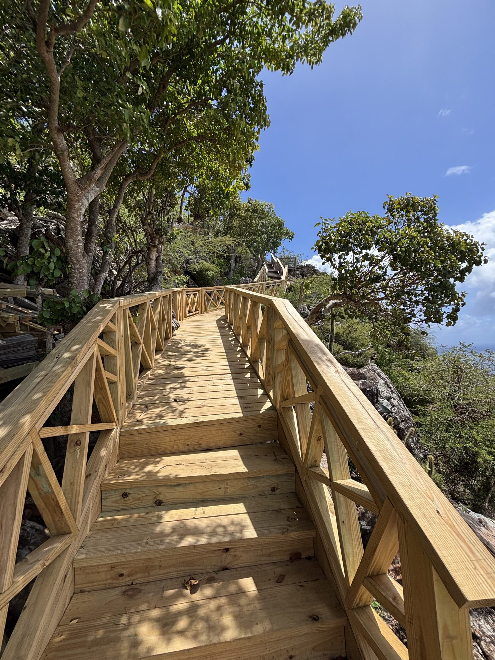 Pelican peak trail stairs